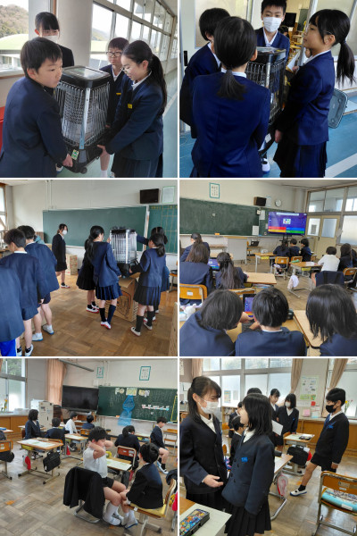 20260317_161420-COLLAGE