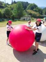 20260514_094138 (1)