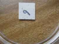 06 (8)