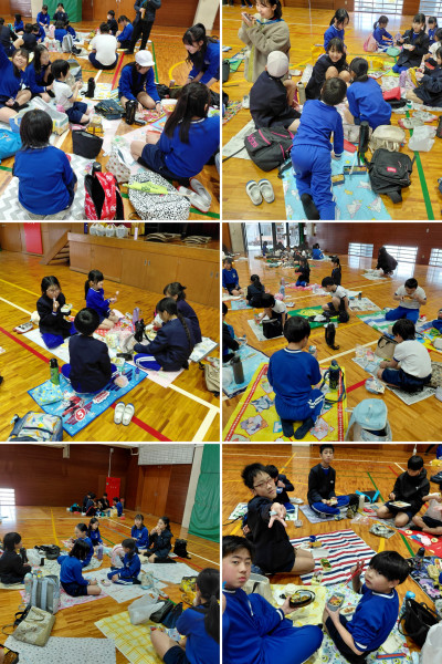 20260304_115515-COLLAGE