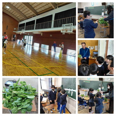 20260309_120533-COLLAGE