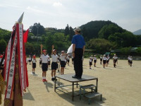 T0515 (7)