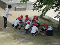 T0515 (1)