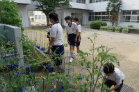 060702 (12)